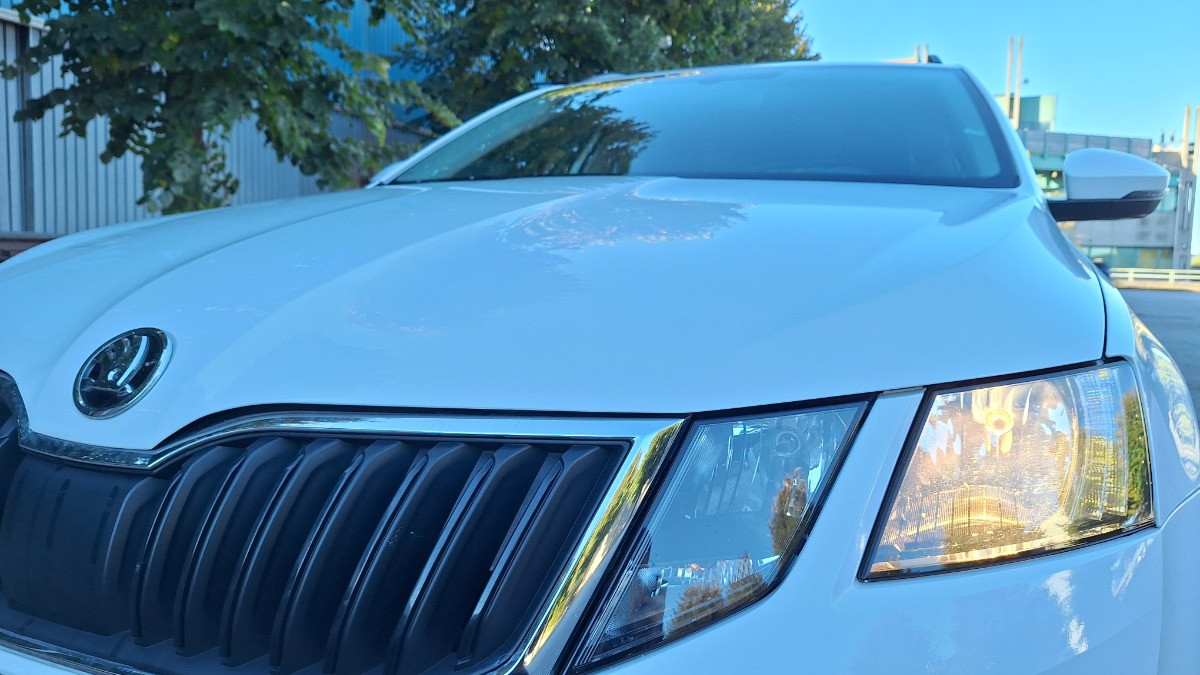 Skoda Octavia Usato 2019 Octavia San Vendemiano