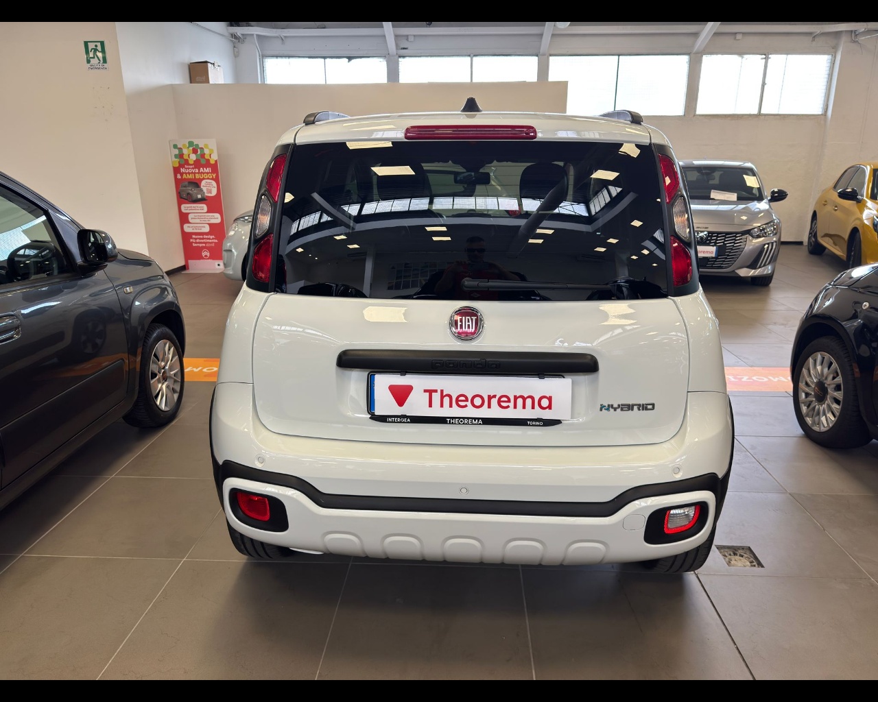 FIAT Panda Iii 2021 Cross Panda 1.0 firefly hybrid Cross s&s 70cv 5p.ti