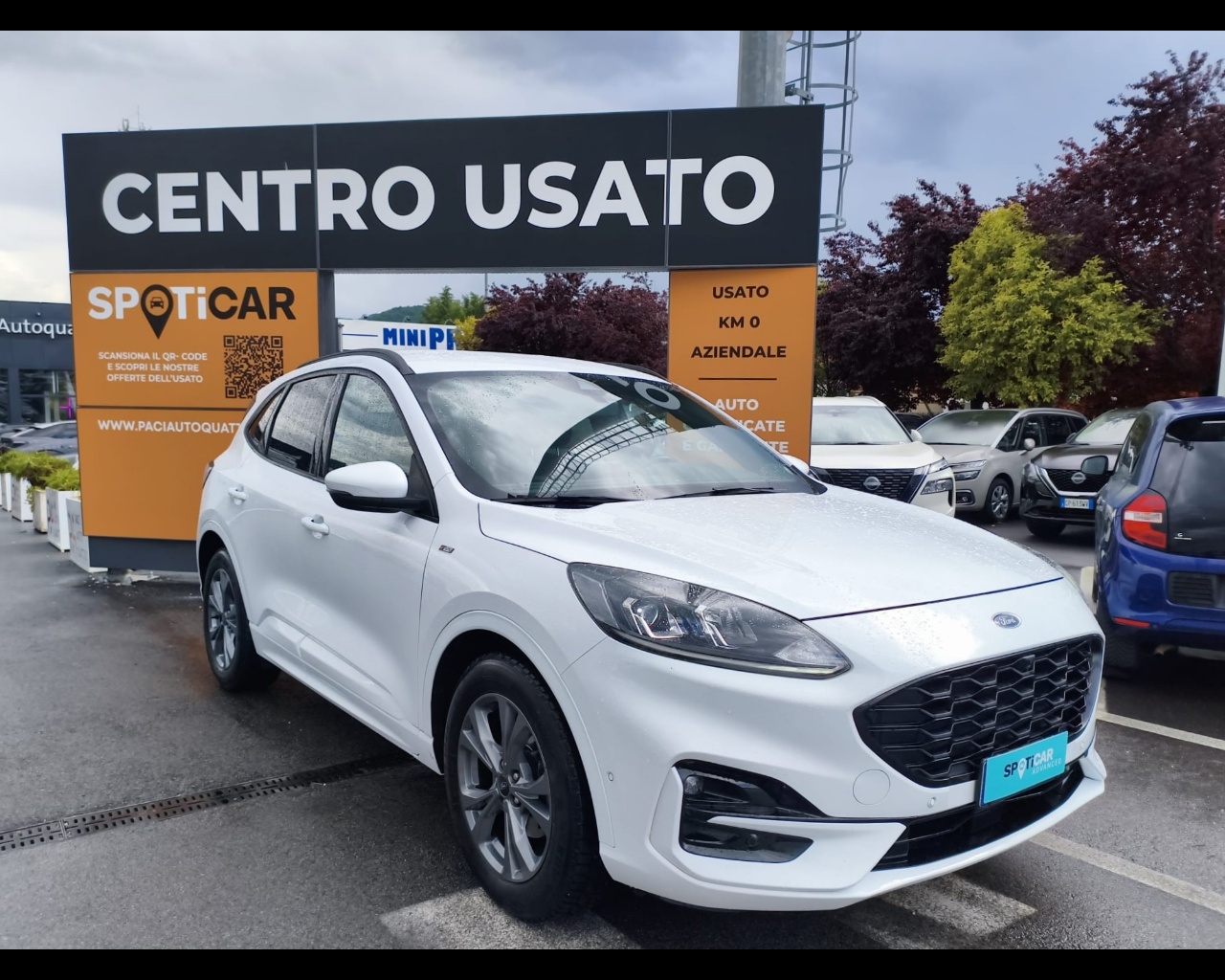 Foto FORD Kuga 1.5 ecoblue ST-Line X 2wd 120cv