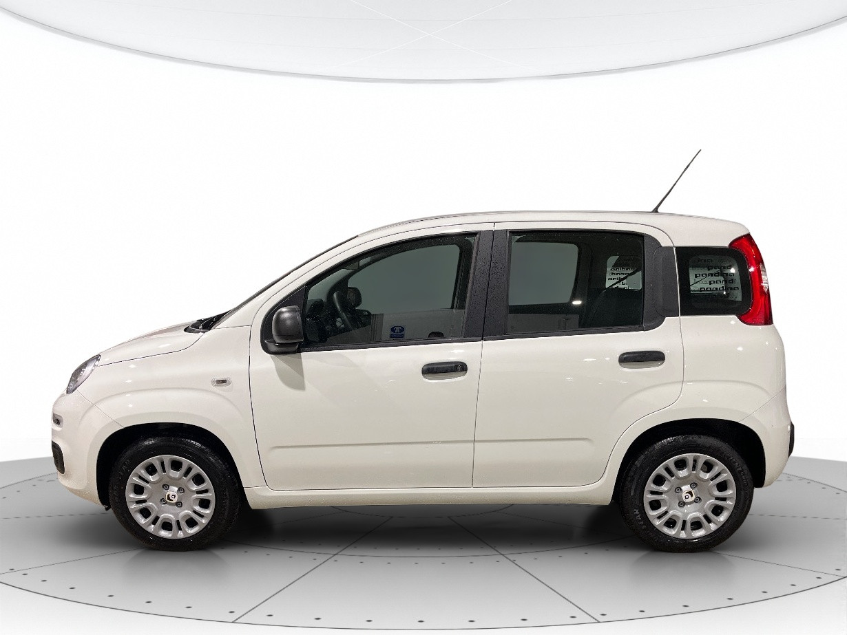 Fiat Pandina KM0 2026 Pandina Cerea