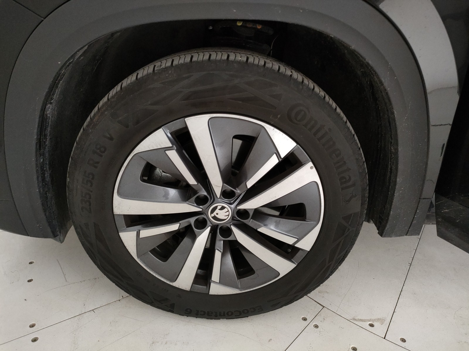 Skoda Kodiaq Usato 2024 Kodiaq Padova