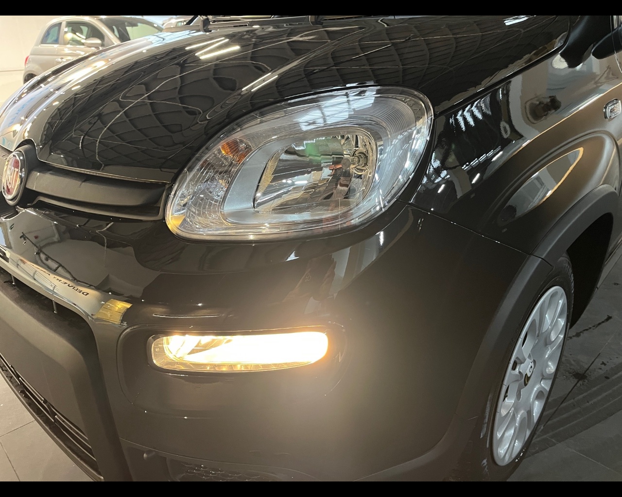 Fiat Panda KM0 2025 Panda Verona