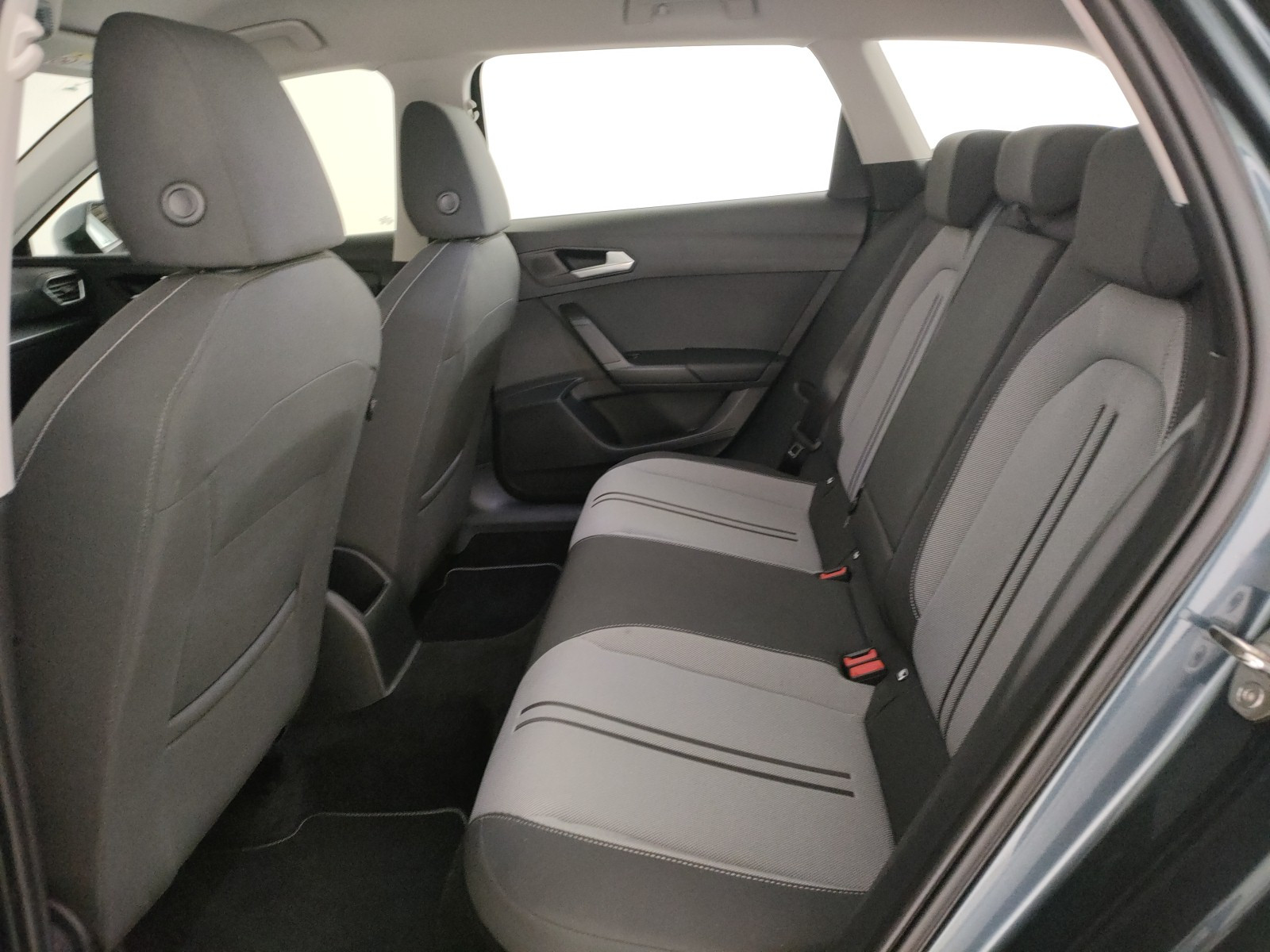 Seat Leon Usato 2022 Leon Legnago