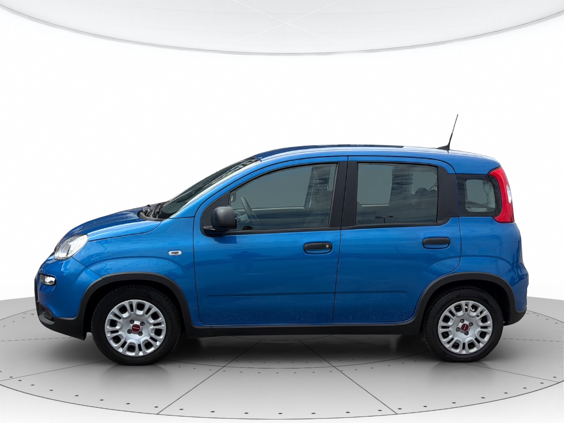 Fiat Panda Usato 2024 Panda Mestre
