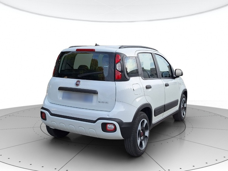 Fiat Panda Usato 2020 Panda San Vendemiano
