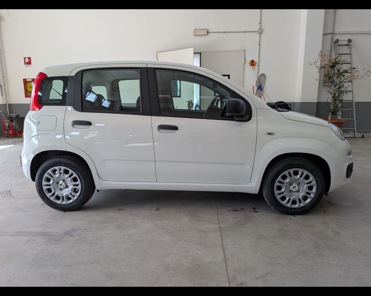 Foto FIAT Panda 1.0 firefly hybrid s&s 70cv 5p.ti