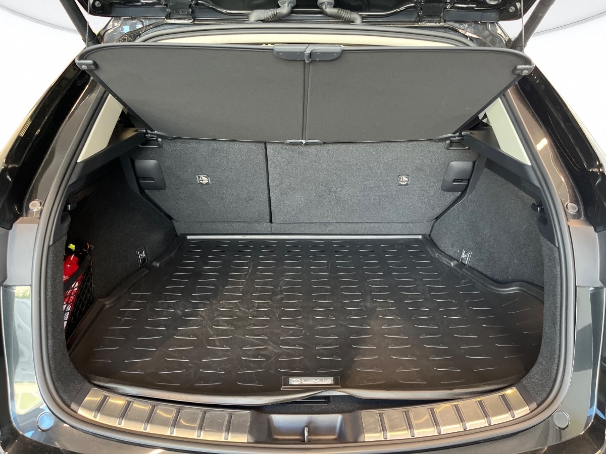 Lexus NX Usato 2022 NX Altavilla Vicentina