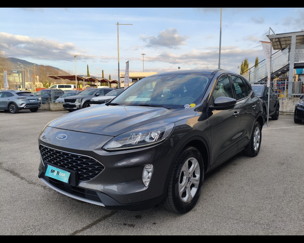 FORD Kuga 1.5 ecoblue Titanium Business 2wd 120cv auto Usata