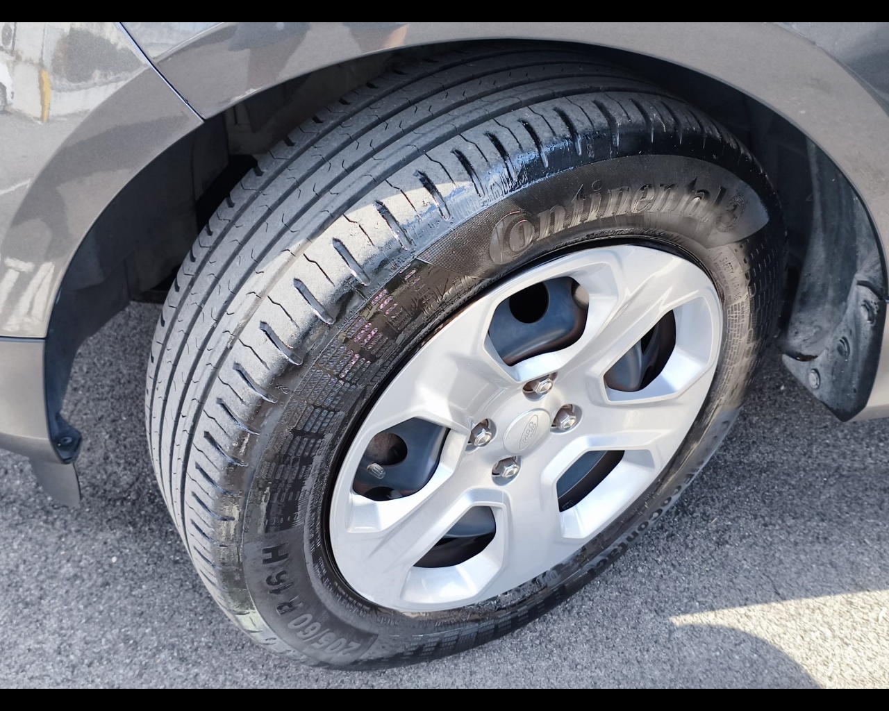 Foto FORD EcoSport 1.5 tdci Plus s&s 100cv 