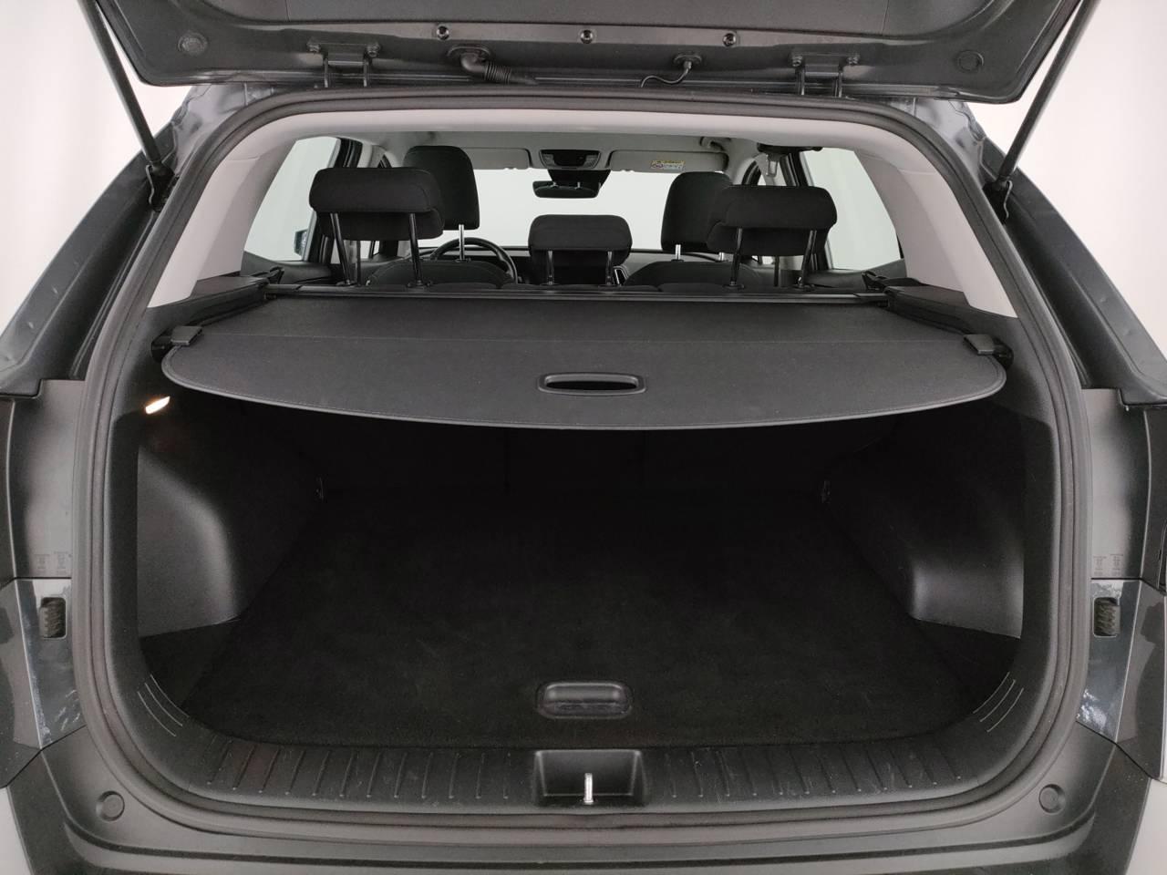 Kia Sportage Usato 2025 Sportage San Vendemiano