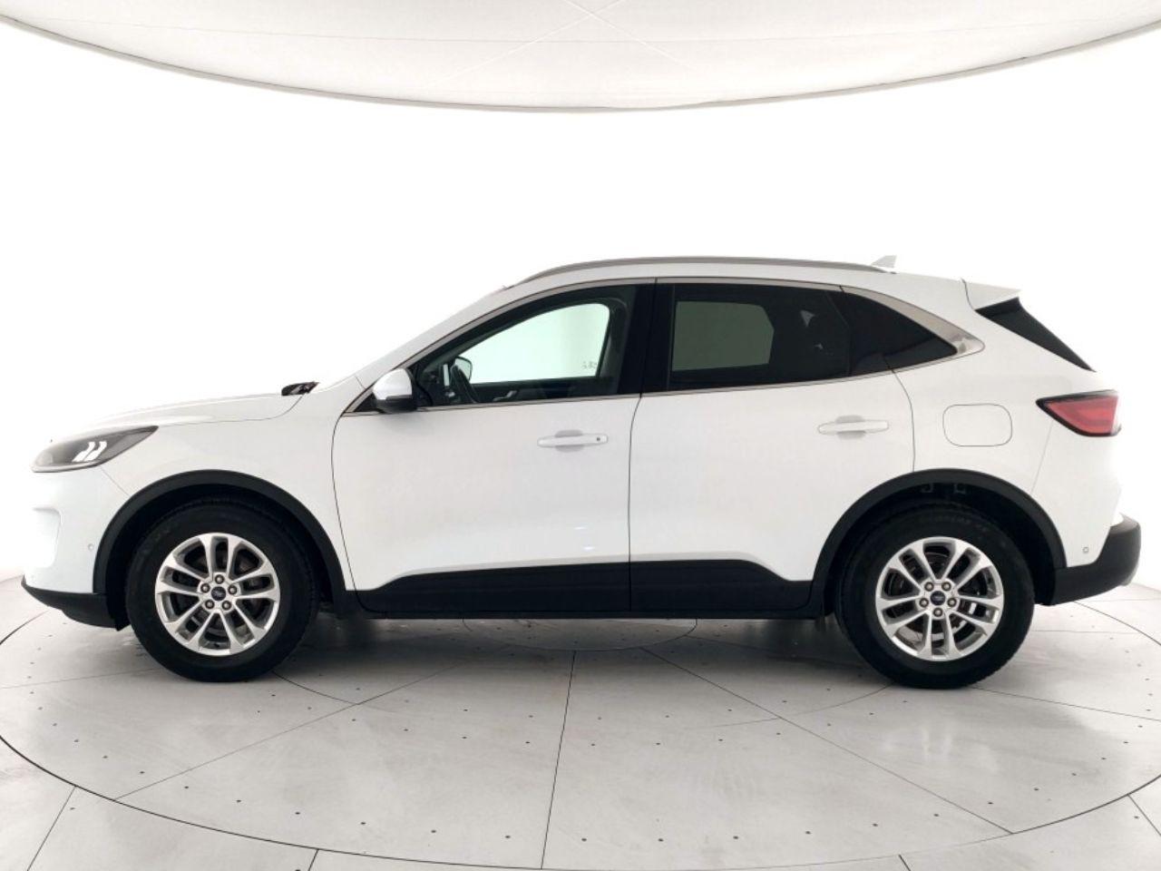 Ford Kuga Usato 2021 Kuga Rovigo