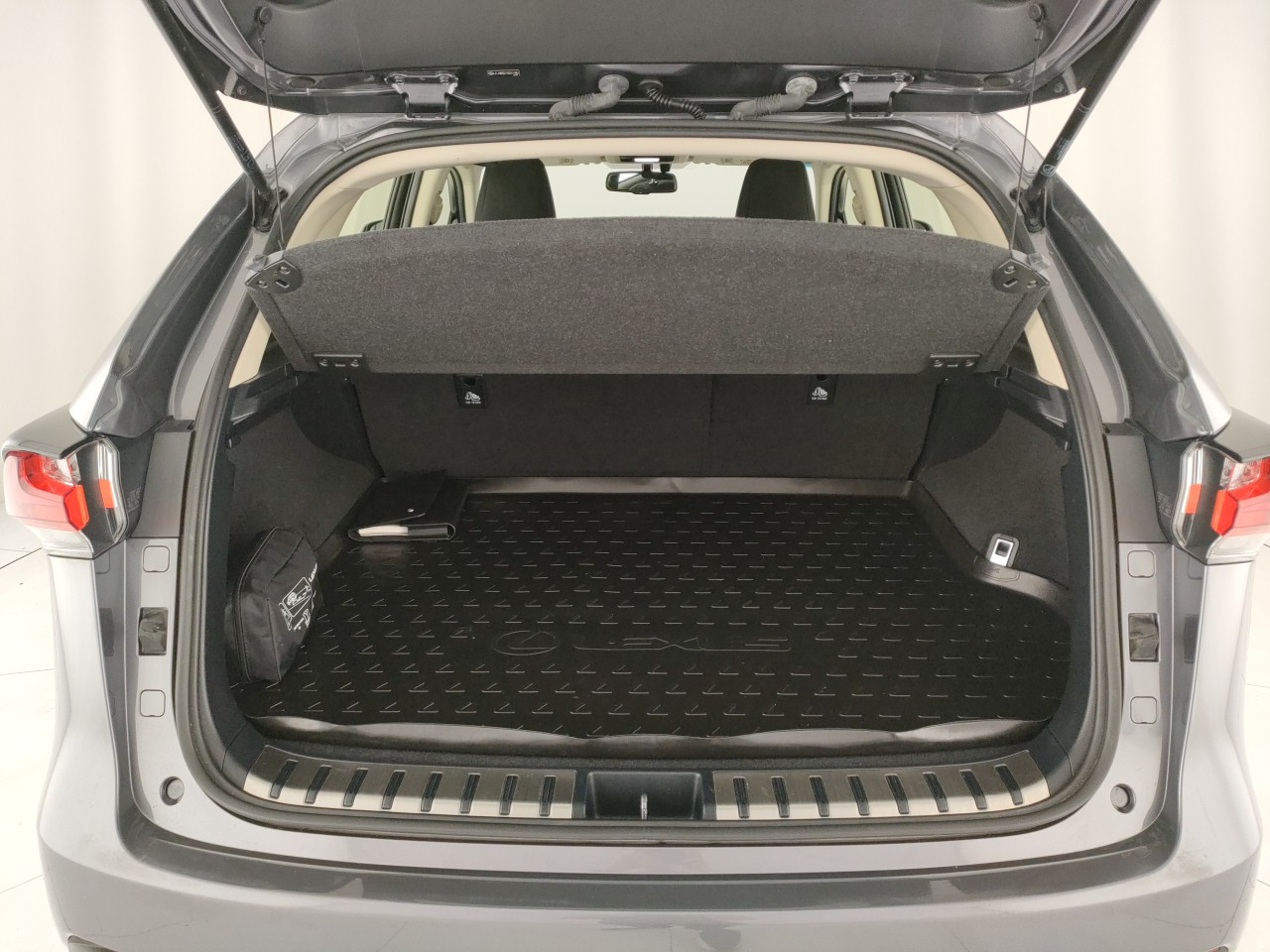 Lexus NX I Usato 2016 NX I Porto Mantovano