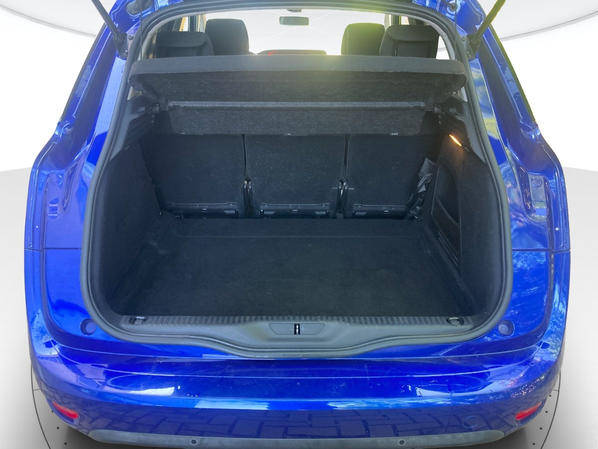 Citroen C4 Picasso Usato 2018 C4 Picasso Modena