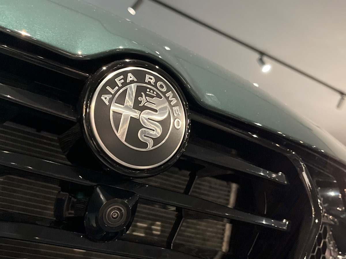 Alfa Romeo Tonale Nuovo Ibrido benzina Tonale Rovigo
