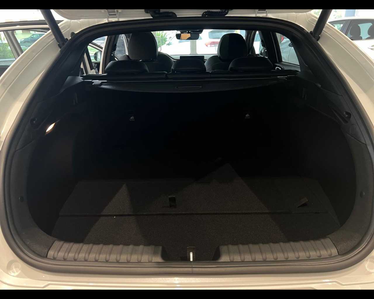 Kia Proceed Nuovo Benzina Proceed Rovigo