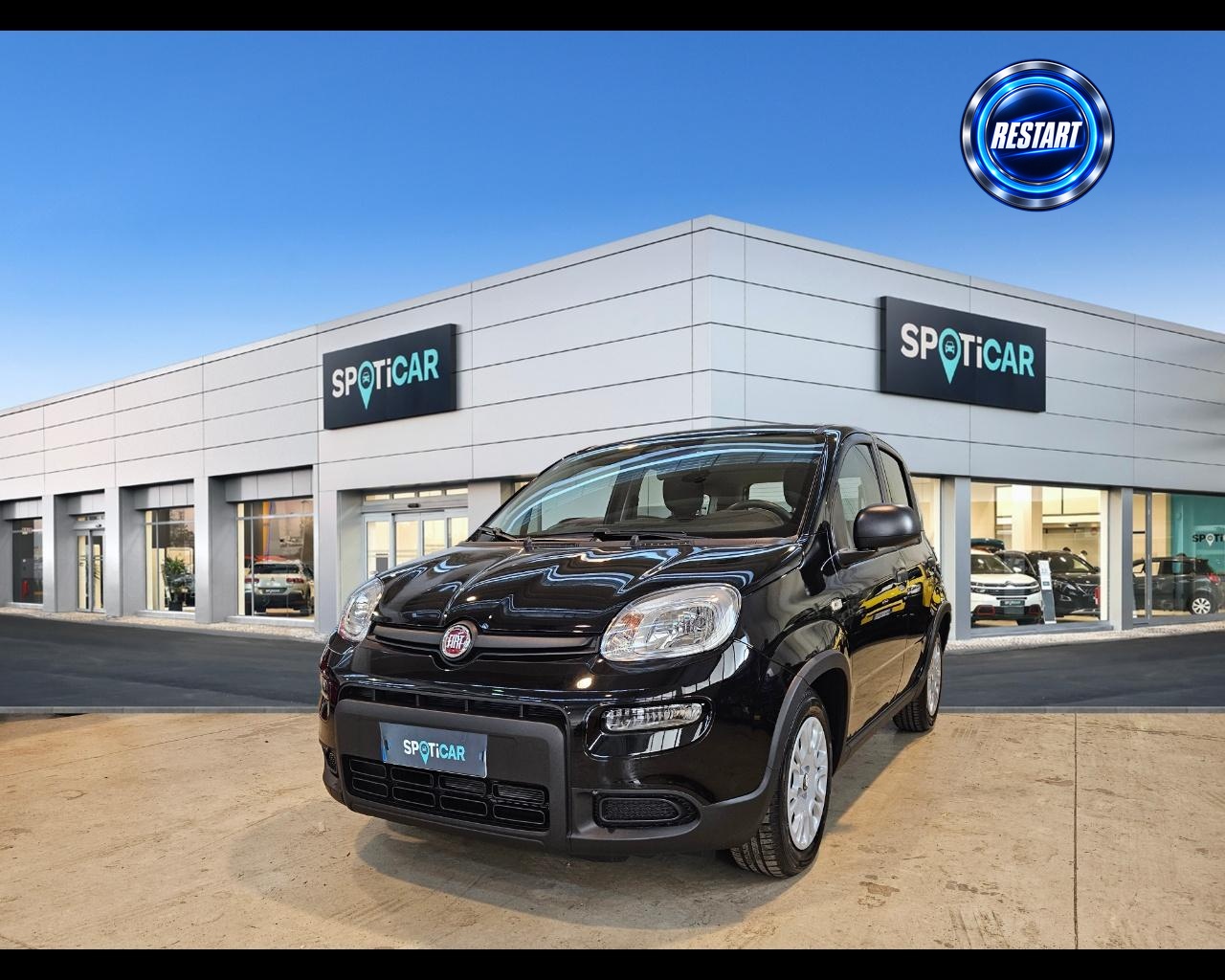 FIAT Panda Serie 7 1.0 70cv HybridPanda Ibrida usato