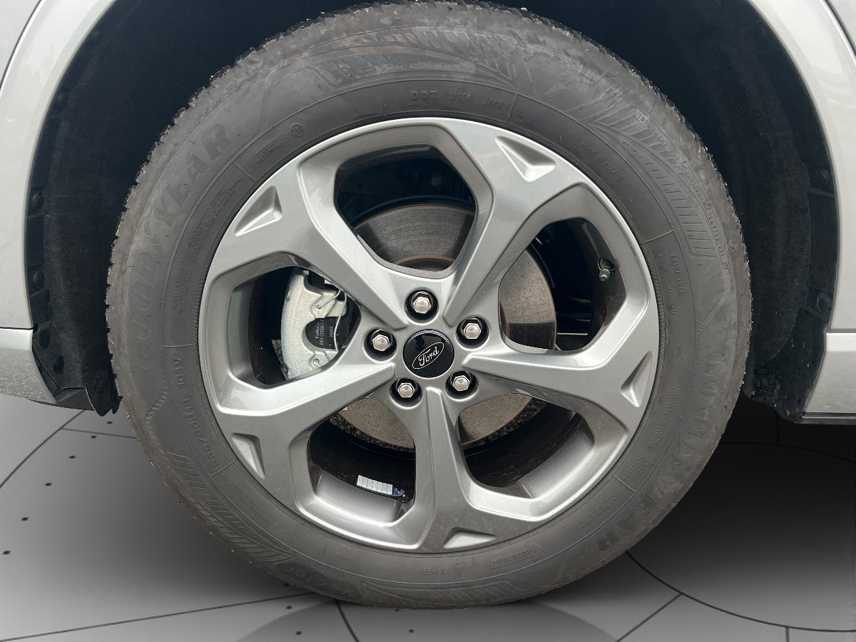 Ford Kuga Usato 2024 Kuga Rovigo