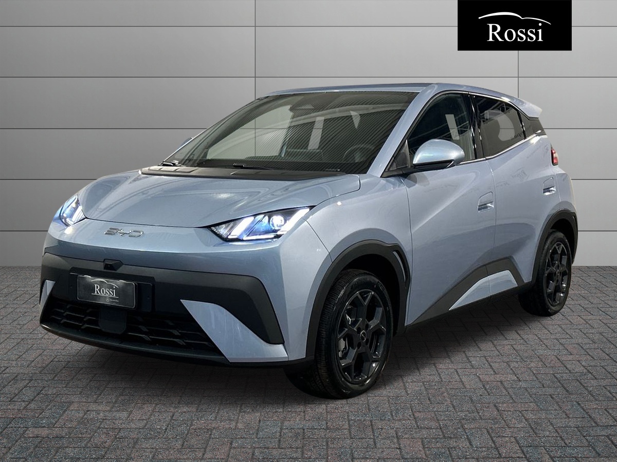 BYD BYD DOLPHIN SURF Comfort