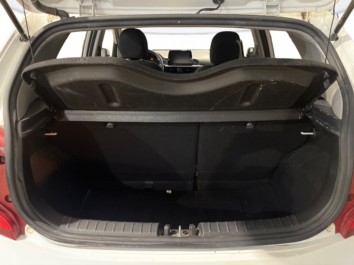 Kia Picanto Usato 2022 Picanto Rovigo