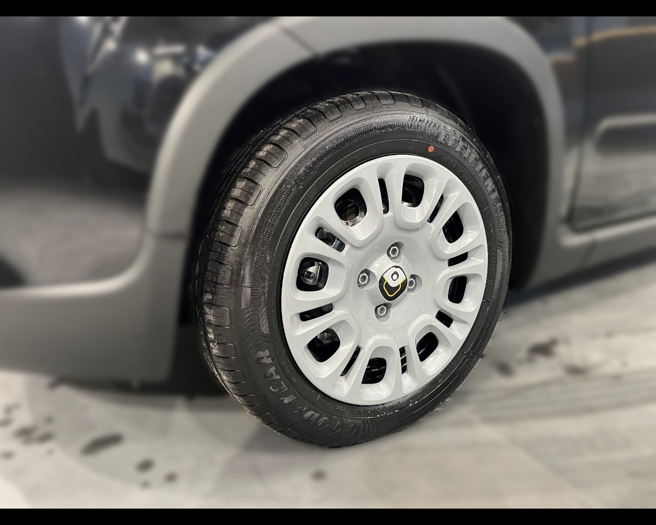 Fiat Panda KM0 2025 Panda Verona