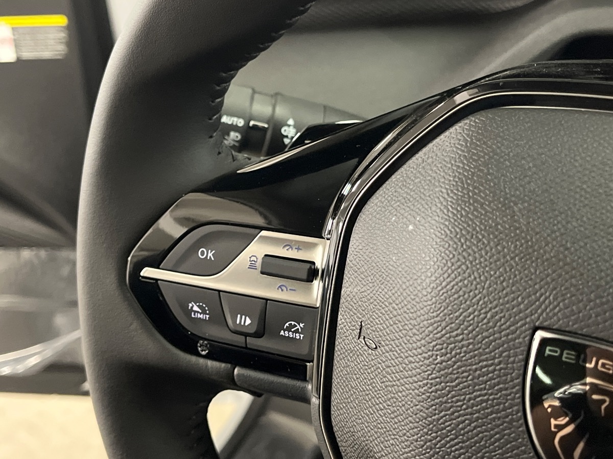 Peugeot 308 Nuovo diesel 308 Verona