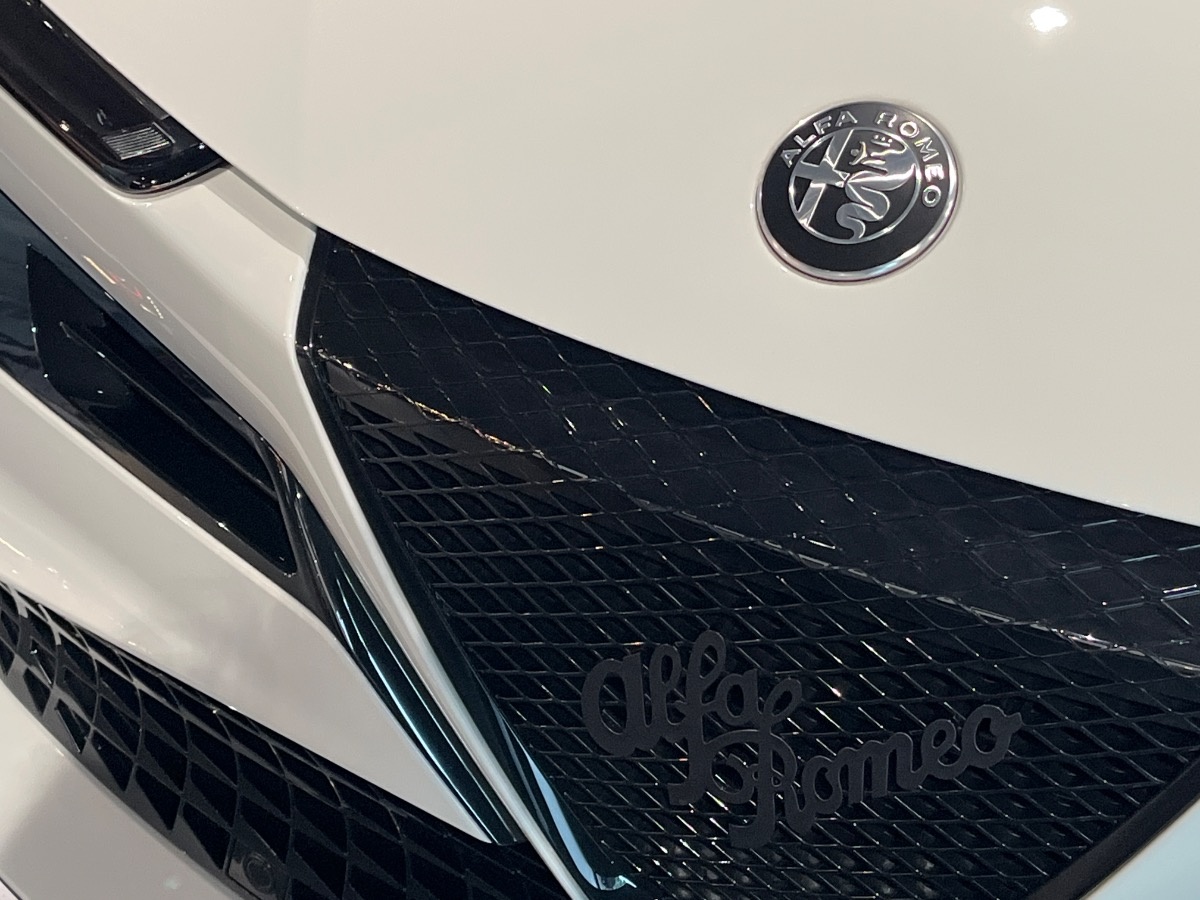 Alfa Romeo Junior Nuovo Ibrido benzina Junior Rovigo