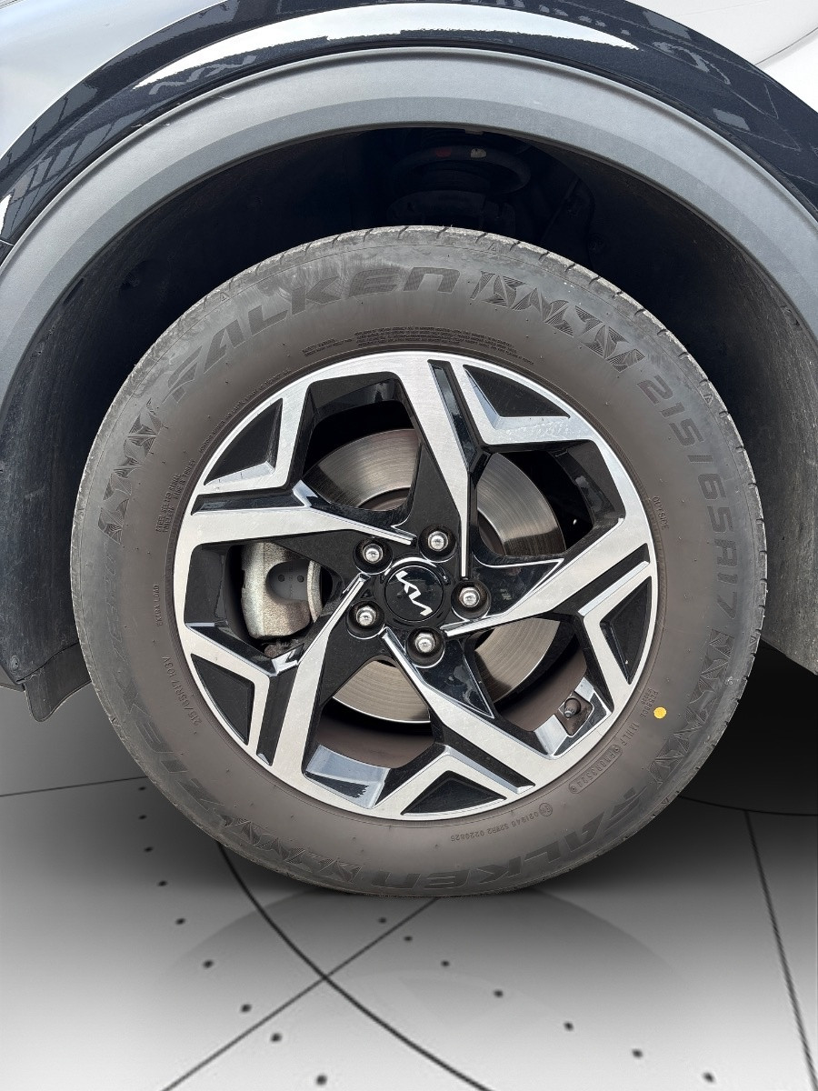 Kia Sportage Usato 2024 Sportage Este