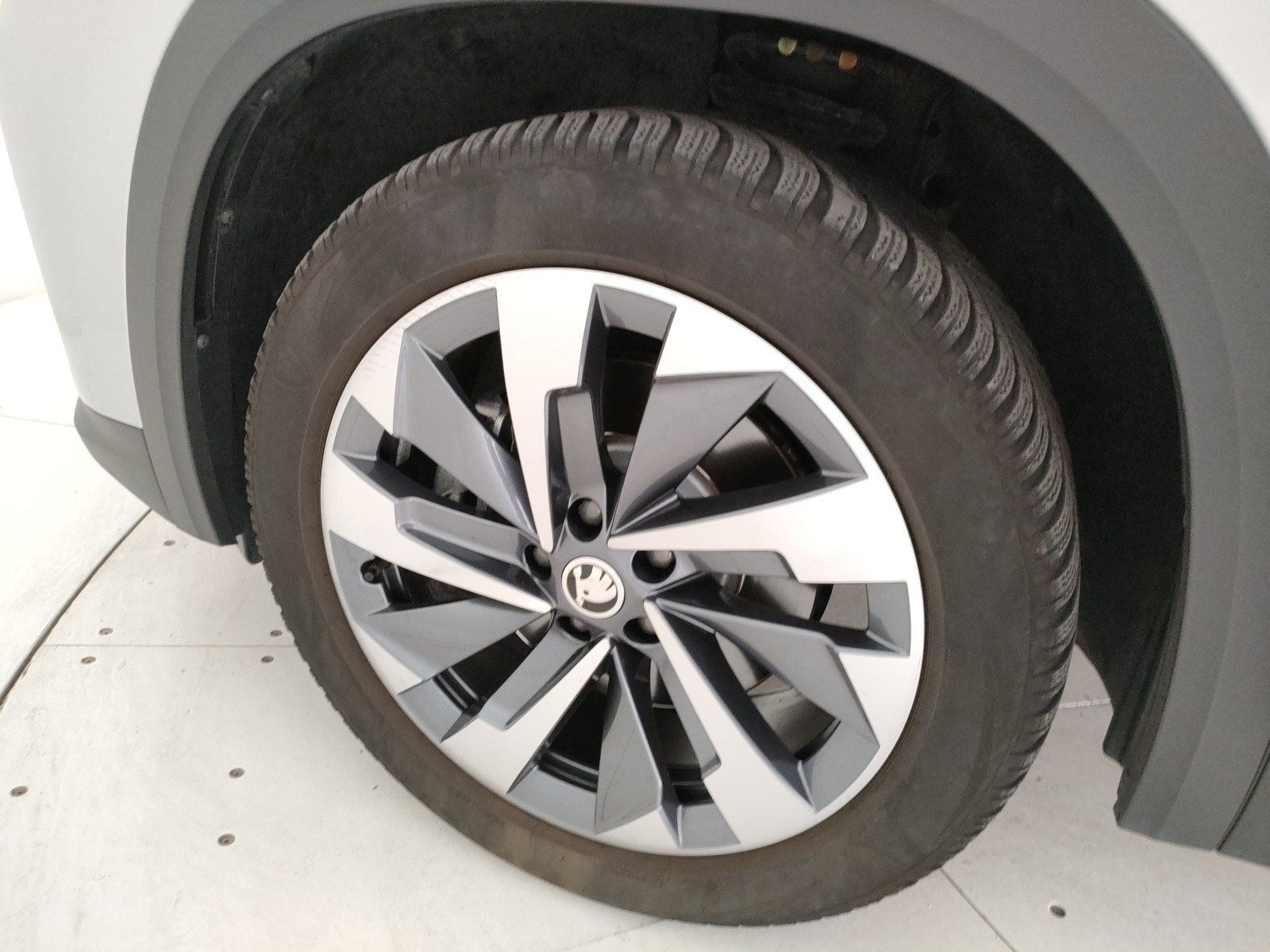 Skoda Kodiaq Usato 2024 Kodiaq Legnago