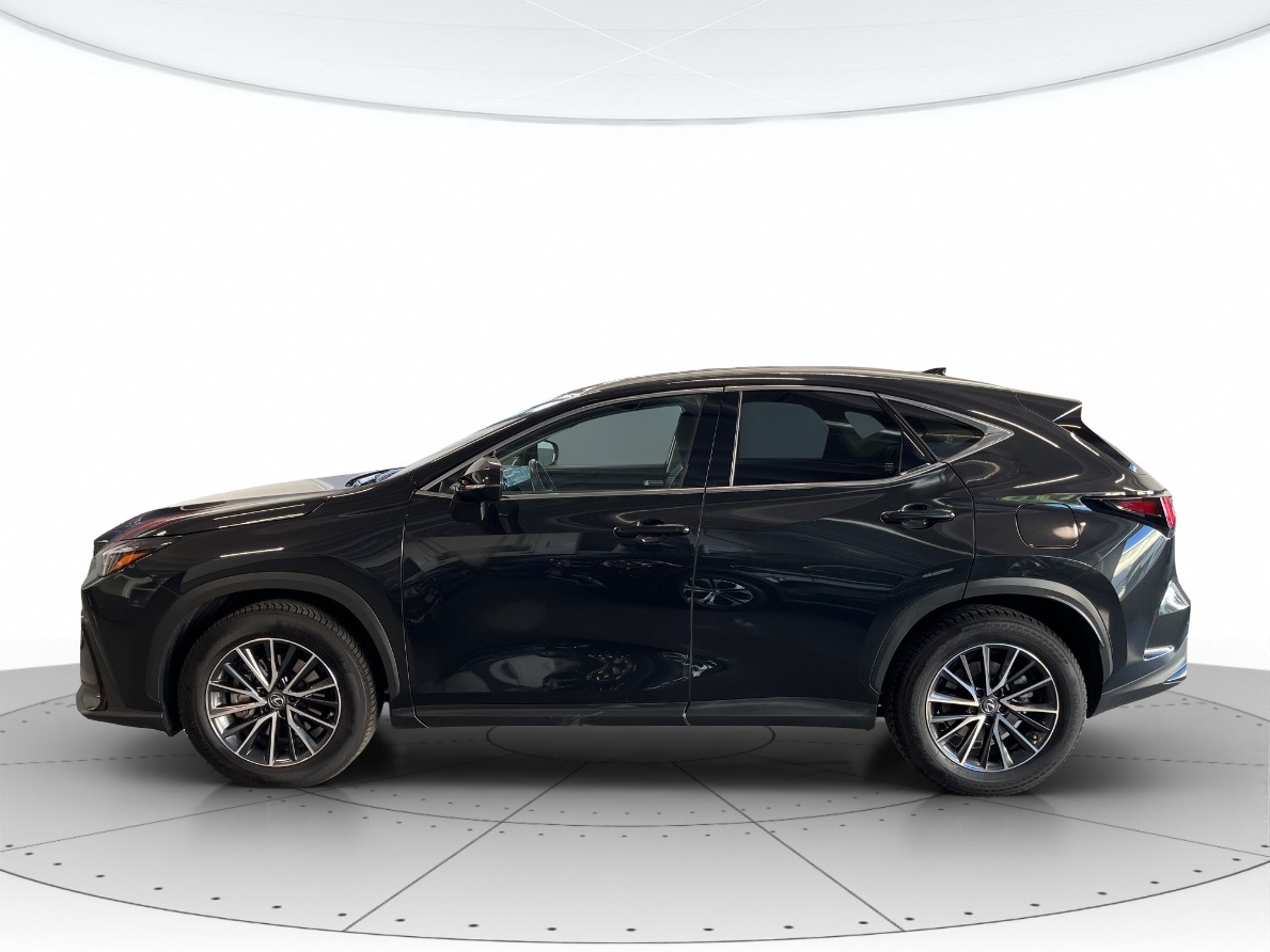 Lexus NX Usato 2022 NX Altavilla Vicentina