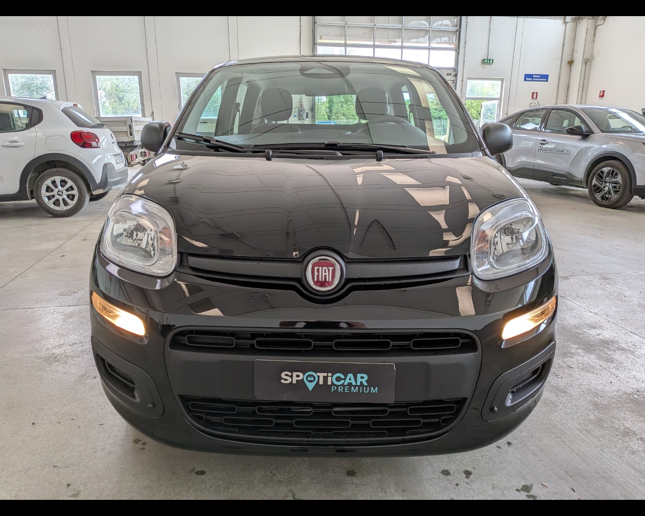 Foto FIAT Panda 1.0 firefly hybrid s&s 70cv 5p.ti