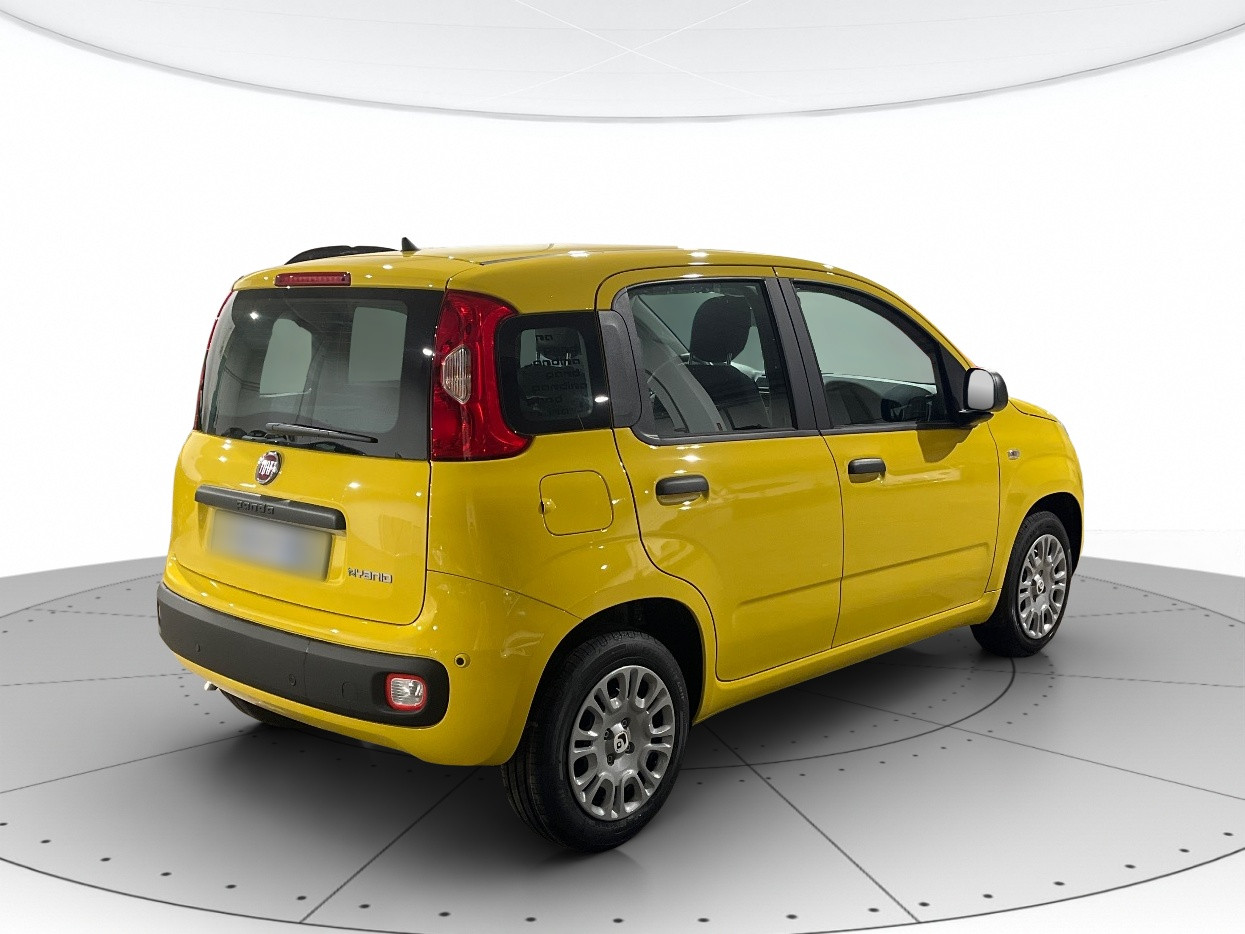Fiat Pandina KM0 2026 Pandina Rovigo