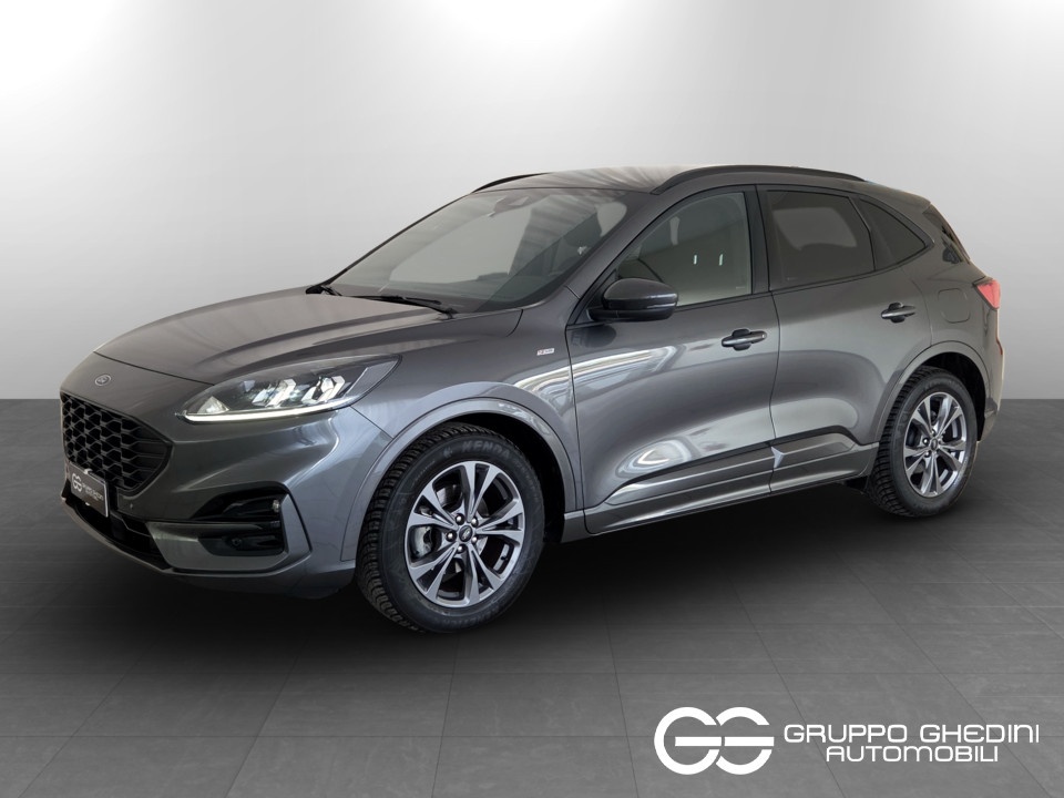 FORD Kuga 1.5 ecoblue Titanium Business 2wd 120cv Diesel usato