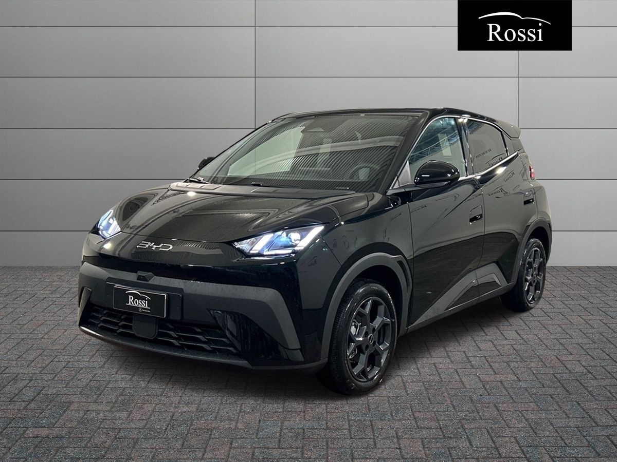 BYD BYD DOLPHIN SURF Comfort