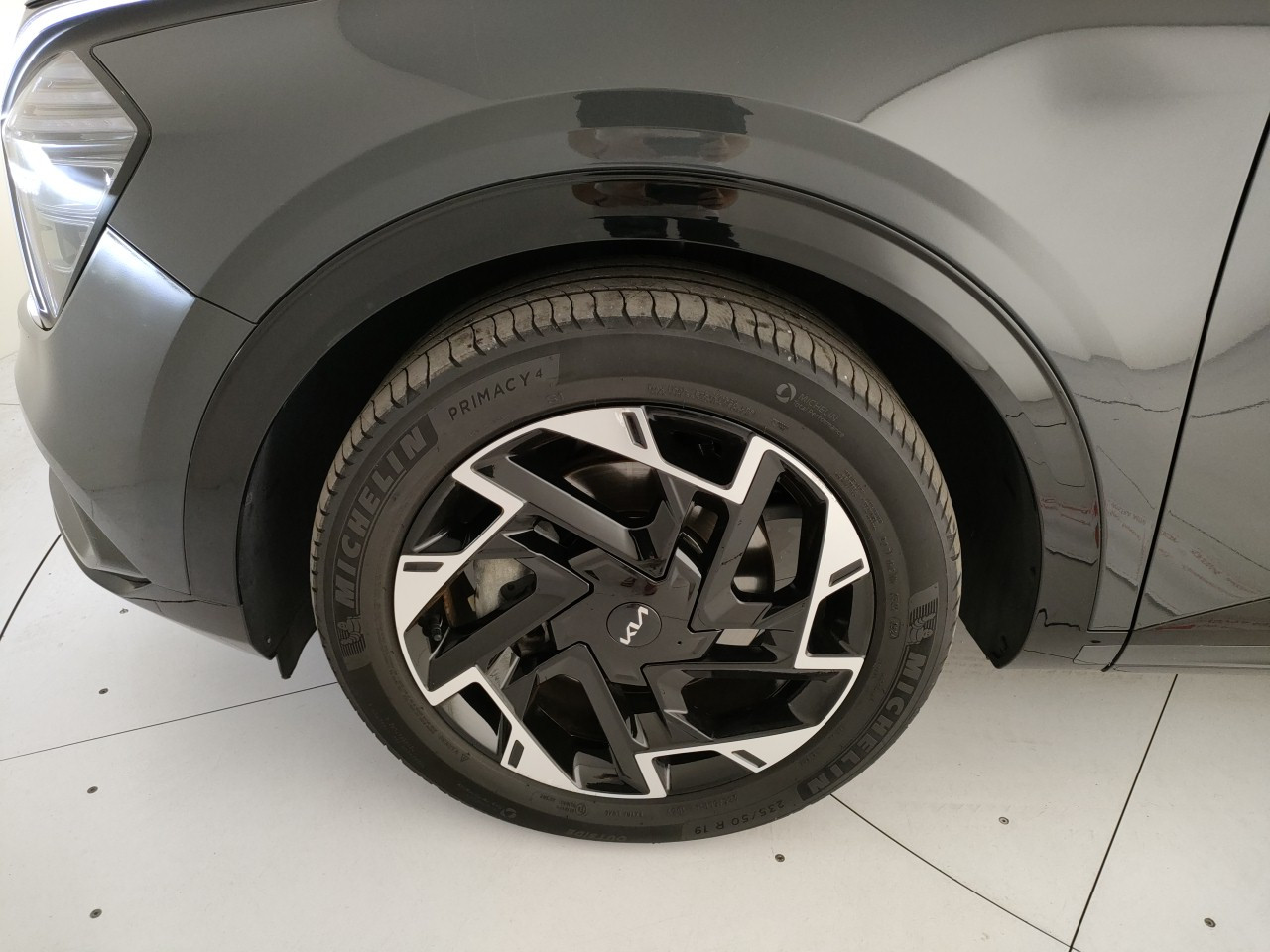 Kia Sportage Usato 2024 Sportage Modena