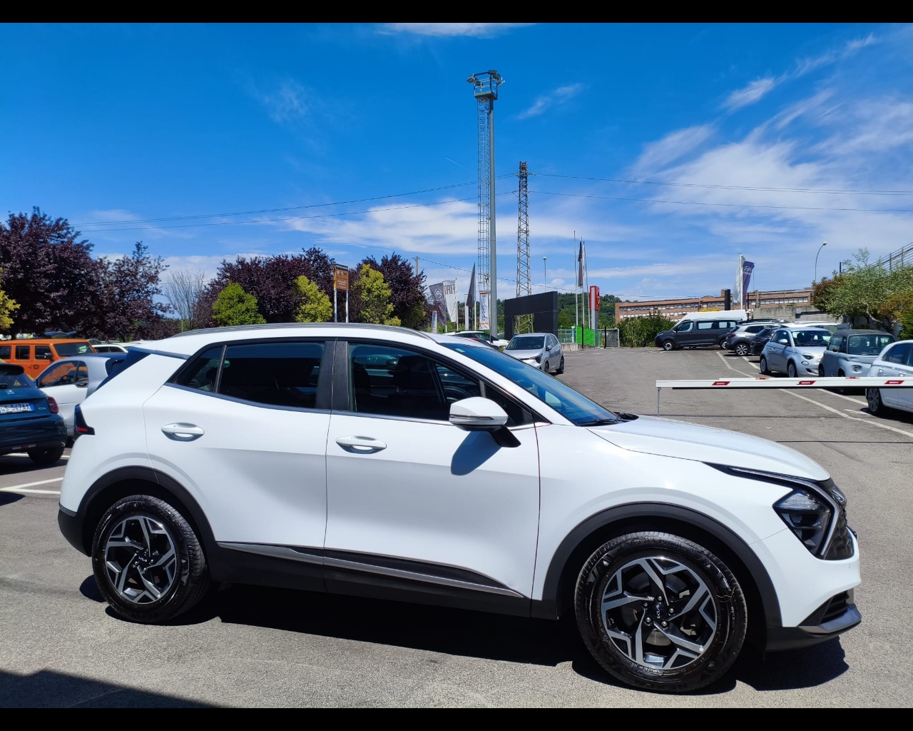 Foto KIA Sportage 1.6 tgdi mhev Business imt