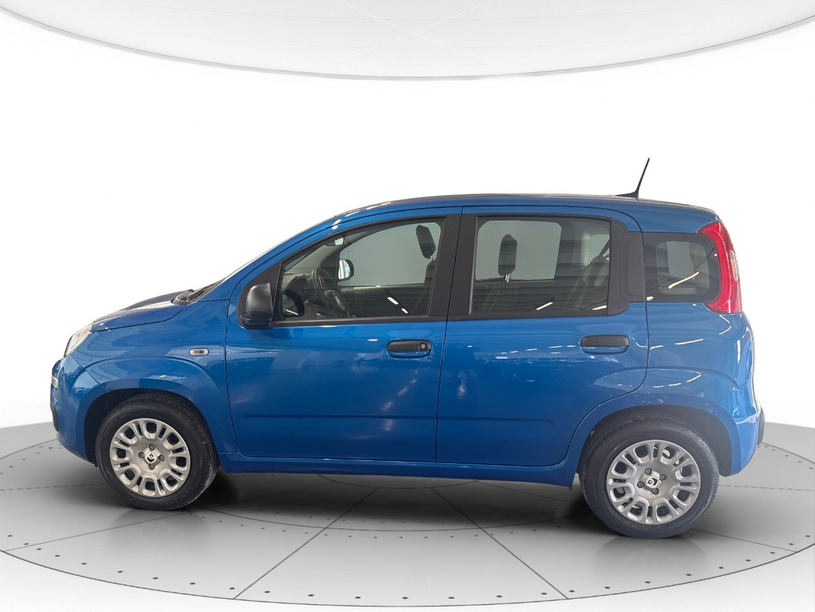 Fiat Panda Usato 2025 Panda Porto Mantovano