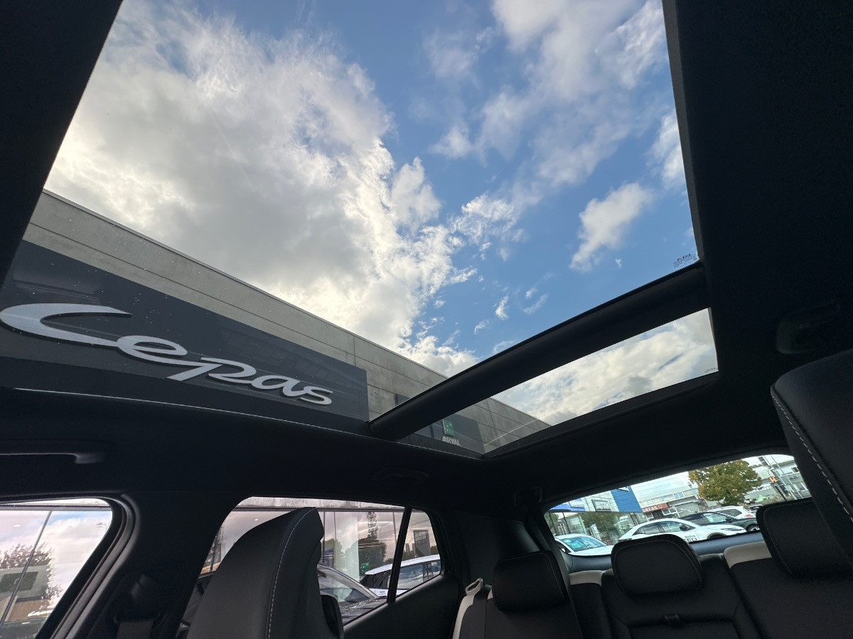 Kia Sportage Usato 2025 Sportage Padova