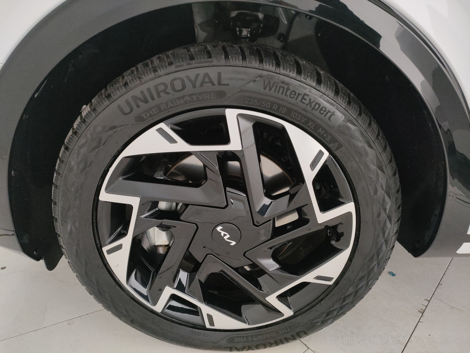 Kia Sportage Usato 2022 Sportage Rovigo