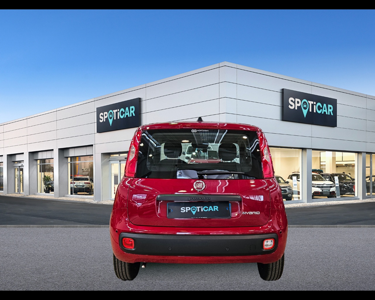 FIAT Panda 1.0 70cv HybridPanda Ibrido benzina Aziendale - 3