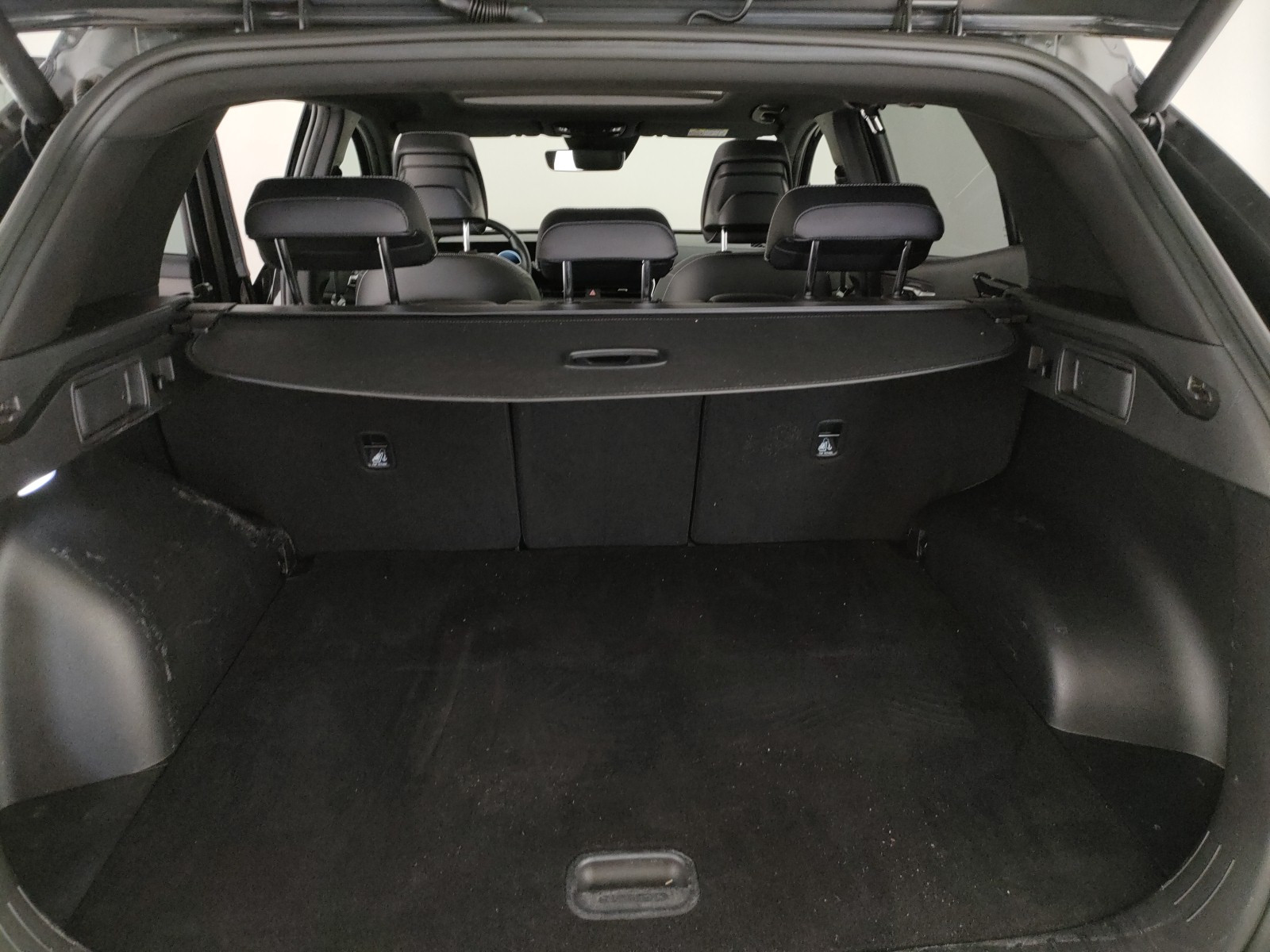 Kia Sportage Usato 2023 Sportage Legnago