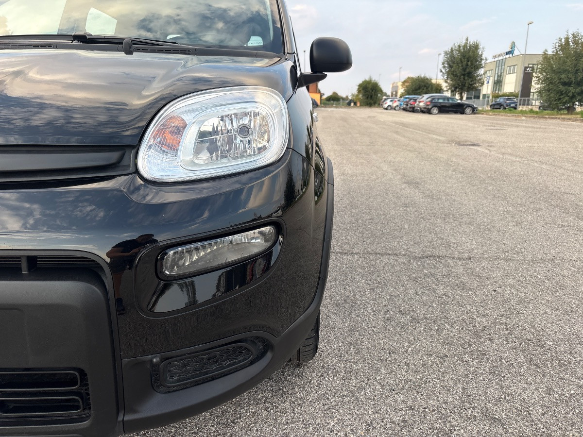 Fiat Pandina Usato 2024 Pandina Rovigo