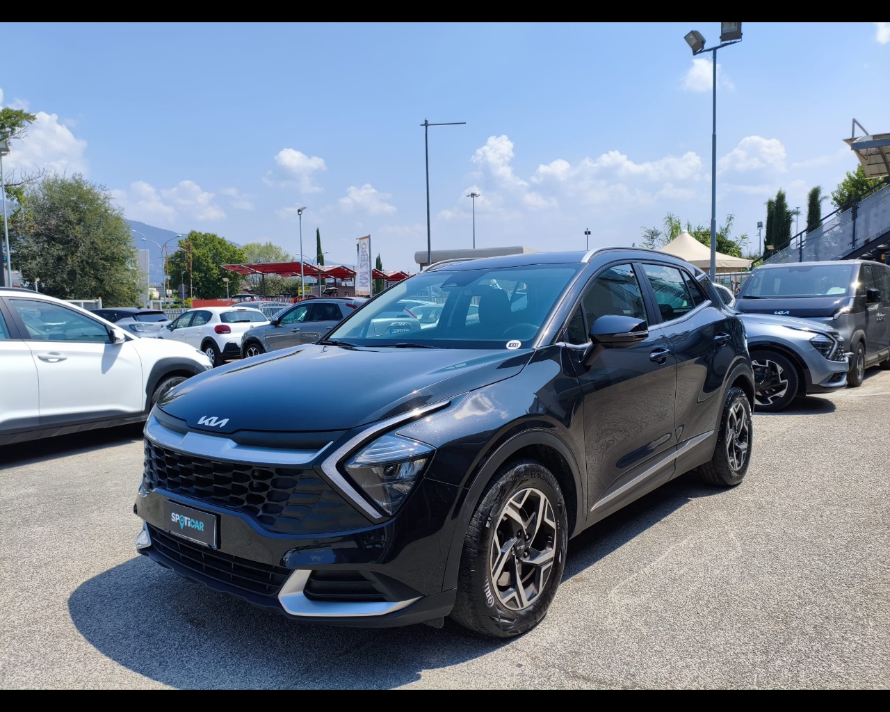KIA Sportage 1.6 crdi mhev Business mt Usata