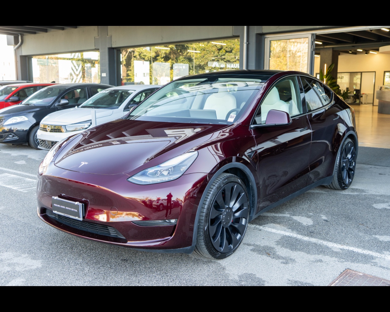 TESLA Model Y