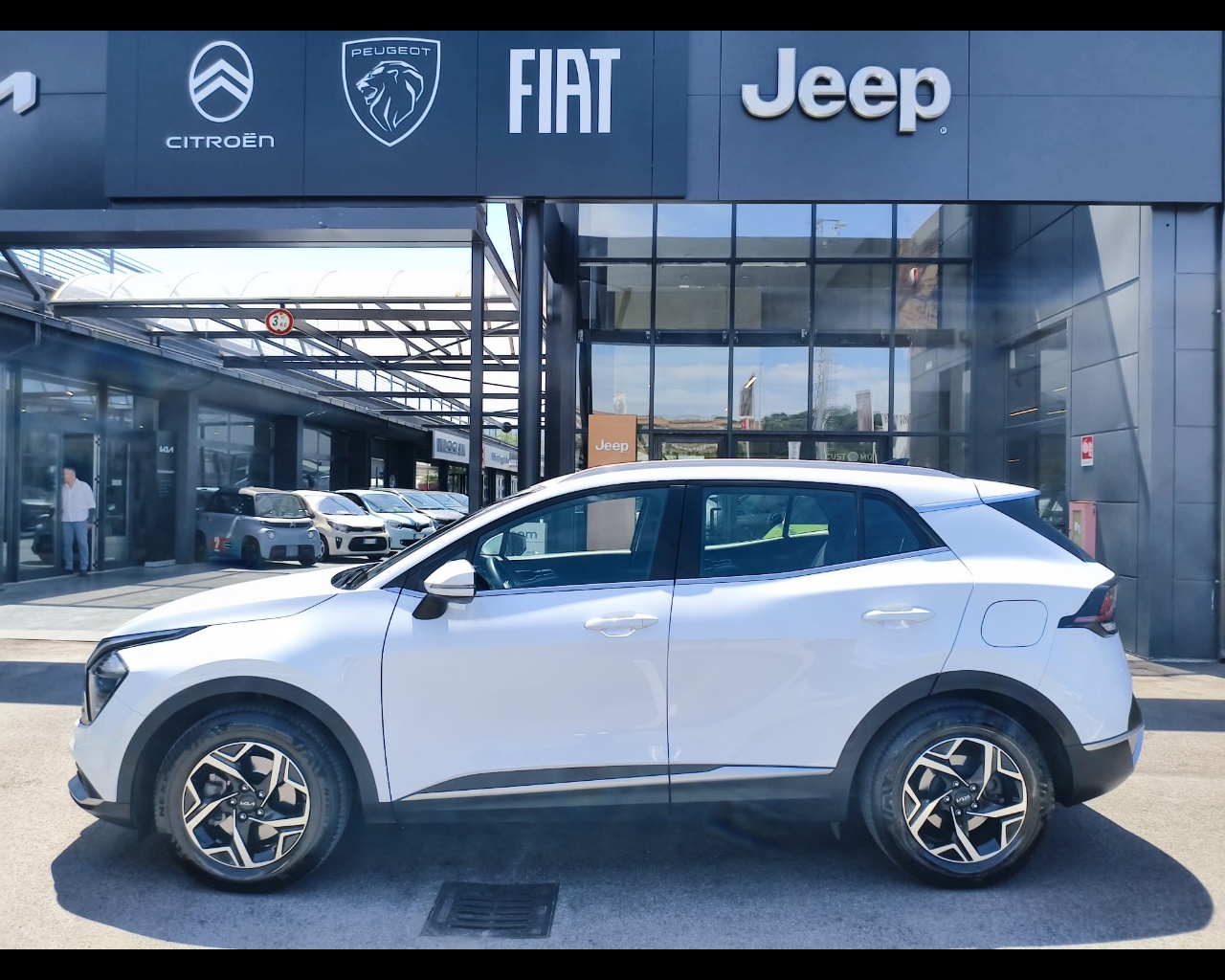 Foto KIA Sportage 1.6 tgdi mhev Business imt