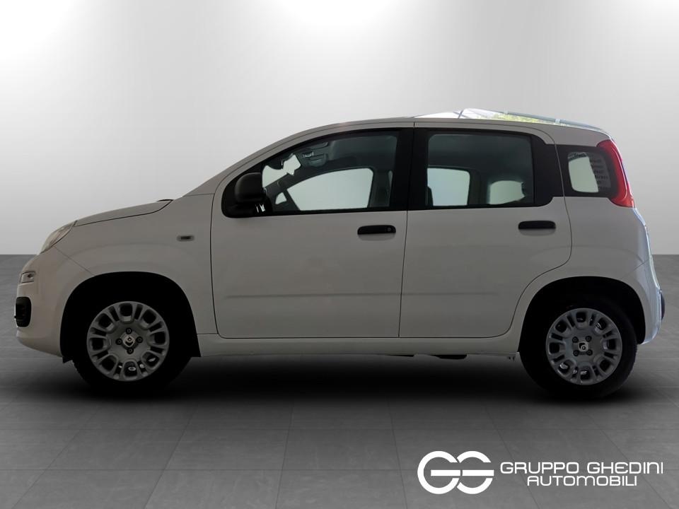 FIAT Panda Pandina My26 1.0 65cv Hybrid Pop Ibrida km0 - 1