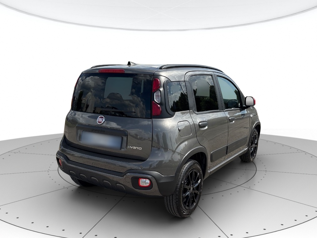 Fiat Panda Usato 2023 Panda Rovigo