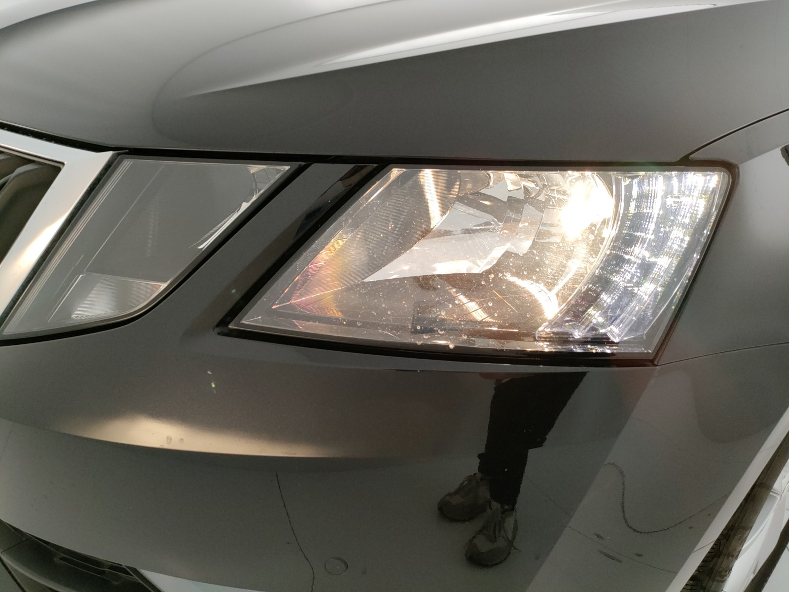 Skoda Octavia Usato 2019 Octavia Rovigo