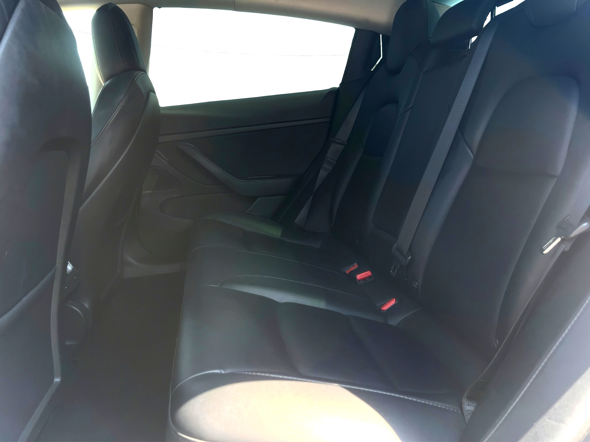 Tesla Model 3 Usato 2020 Model 3 Rovigo