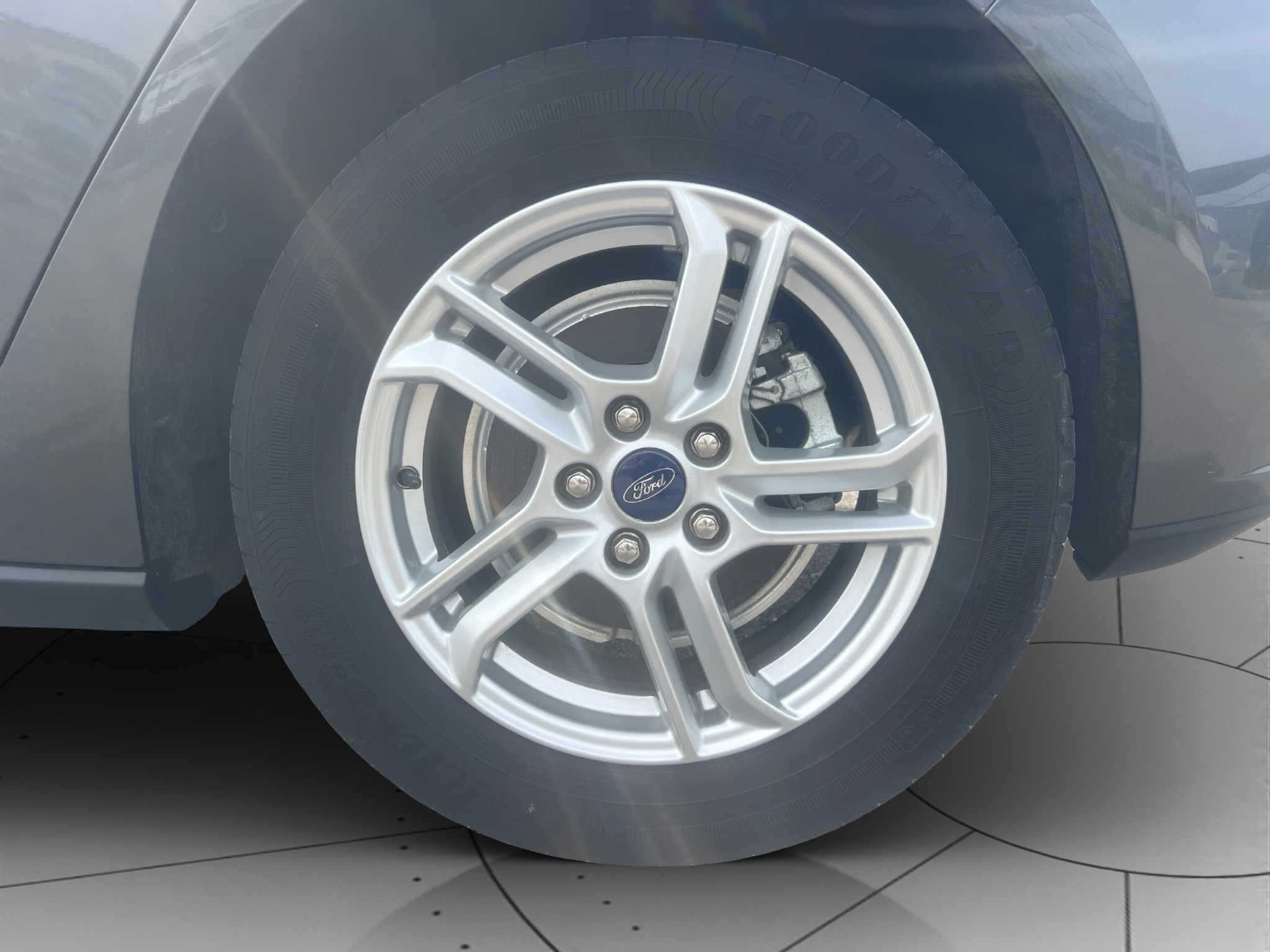 Ford Focus Usato 2020 Focus Rovigo