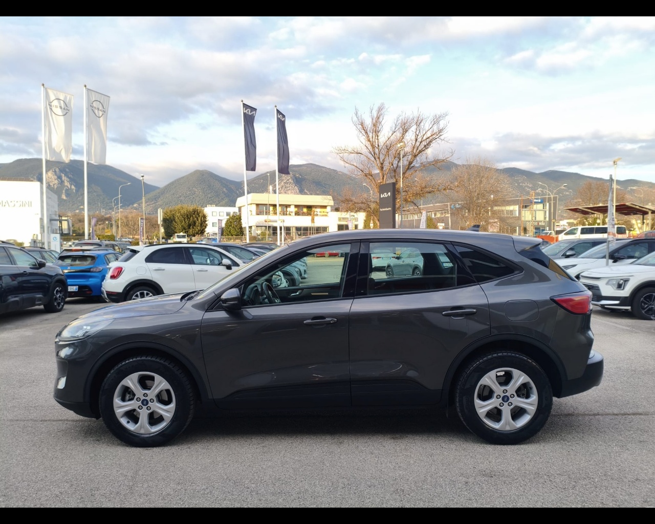 Foto FORD Kuga 1.5 ecoblue Titanium Business 2wd 120cv auto